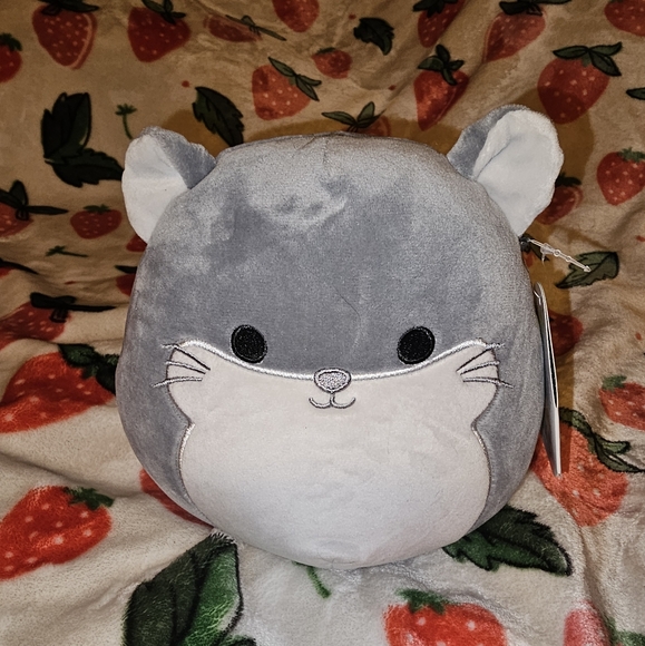 Chinchilla Squishmallow - Picture 1 of 1